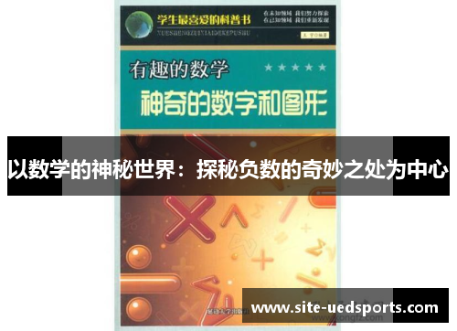以数学的神秘世界：探秘负数的奇妙之处为中心